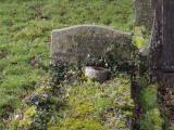 image of grave number 795277